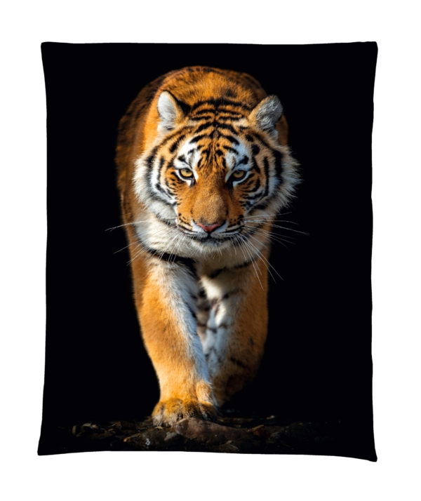 Satin Bettwäsche Tiger, abgepasste Kissen – Bild 3